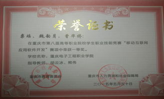 移動互聯(lián)網(wǎng)技術(shù)專業(yè)的核心價值 技術(shù)服務(wù)驅(qū)動數(shù)字未來
